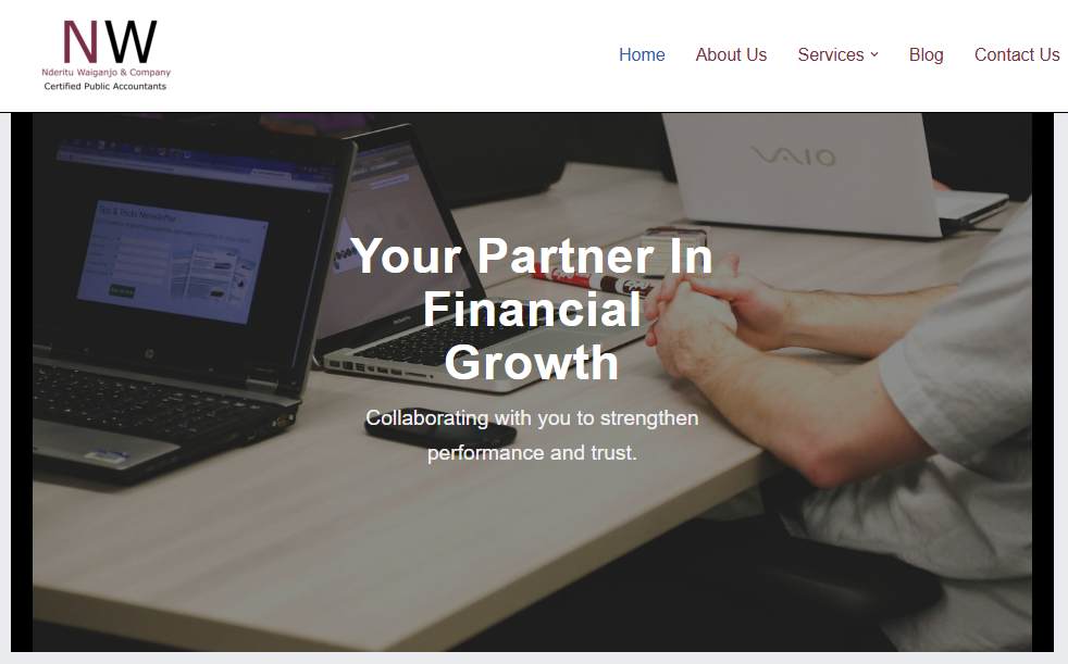 audit firm Website screenshot